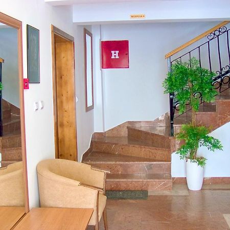 Guest House Villa Iva Будва Екстер'єр фото